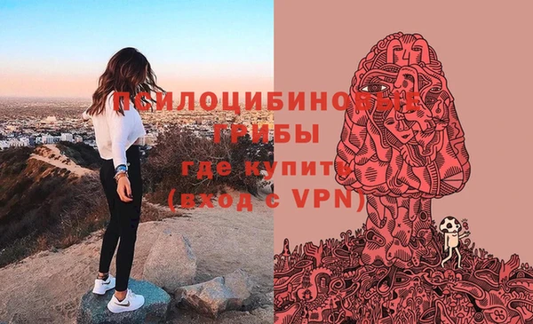 хмурый Куйбышев