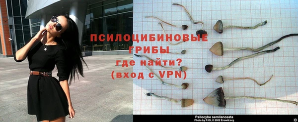 твердый Мурманск