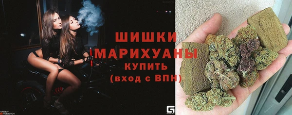 шишки Кукмор