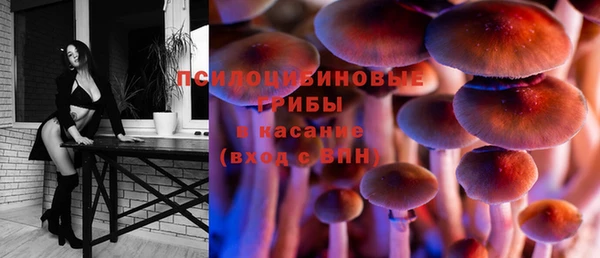 хмурый Куйбышев